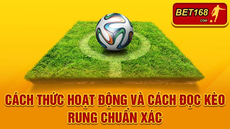 Cách thức hoạt động và cách đọc kèo rung chuẩn xác