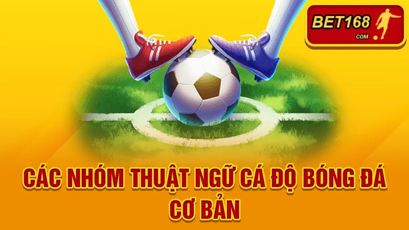 Các nhóm thuật ngữ cá độ bóng đá cơ bản