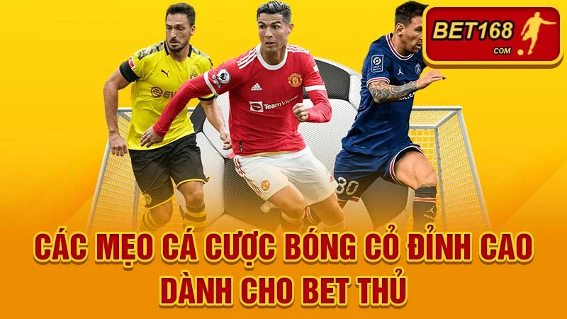 Các Mẹo Cá Cược Bóng Cỏ Đỉnh Cao Dành Cho Bet Thủ