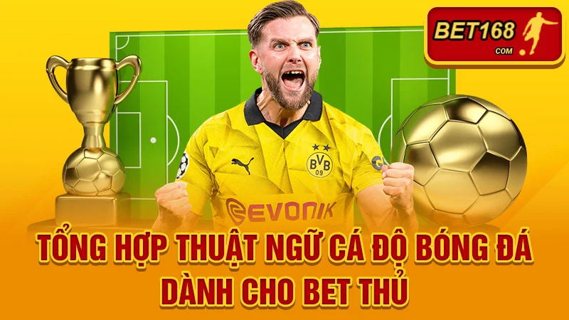 Tổng Hợp Thuật Ngữ Cá Độ Bóng Đá Dành Cho Bet Thủ